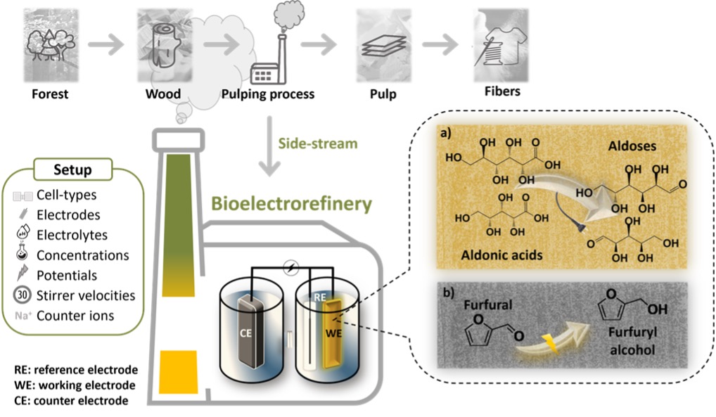A1_Bioelectrorefinery_Copyright Wolfsgruber