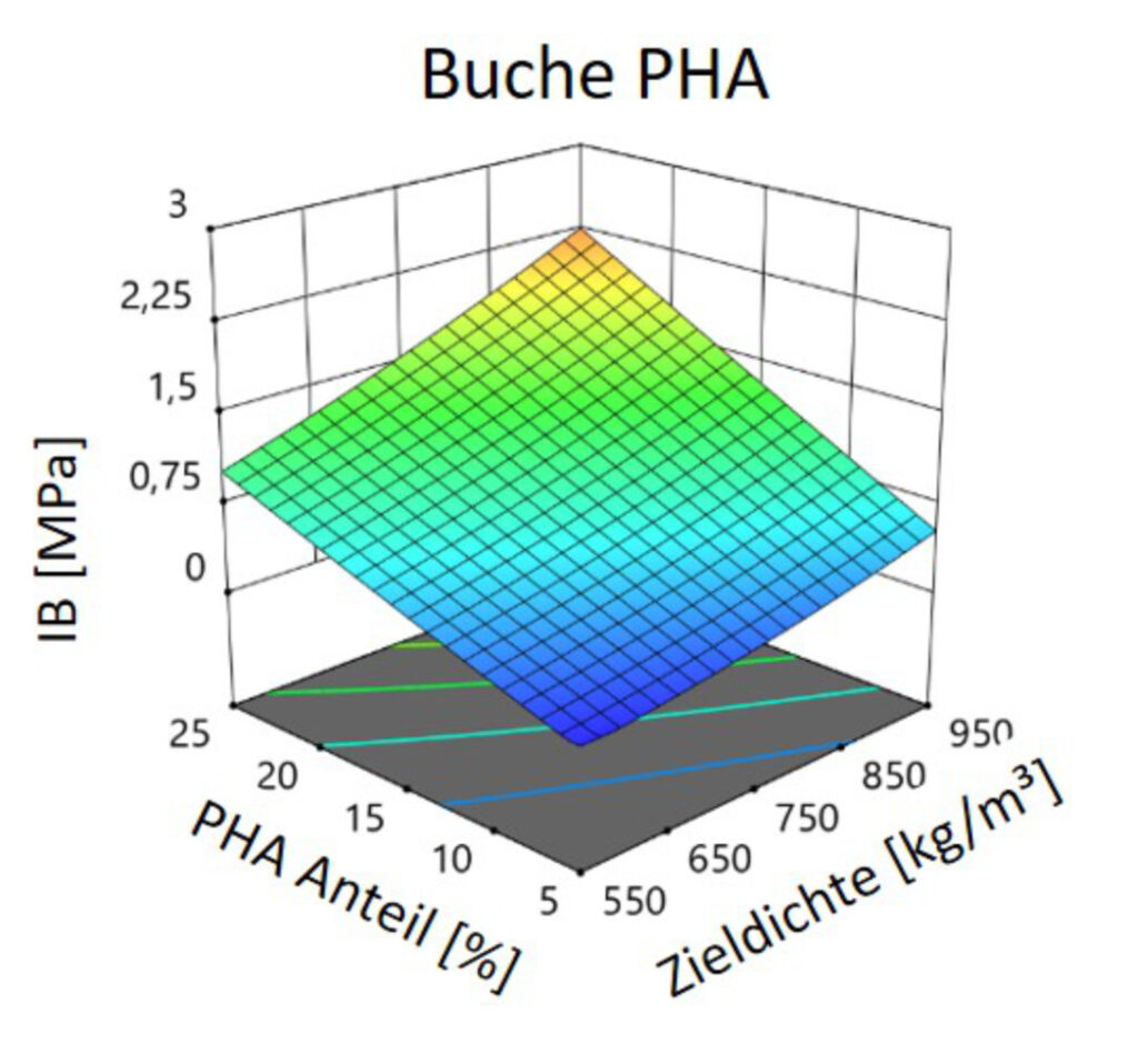 A2_IB_PHB_Buche_success_story_2024