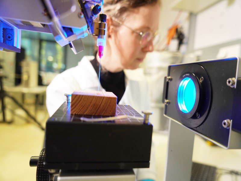 Team Funktionalisiertes Holz & biobasierte Materialien