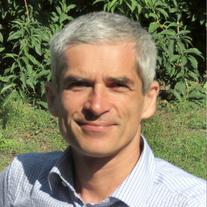 Univ.-Prof. DI Dr. Wolfgang Gindl-Altmutter