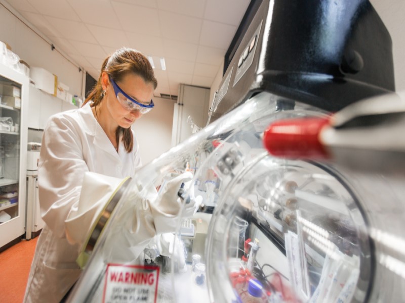 Team Biotechnologische Prozesstechnologie zur Biomasseverwertung