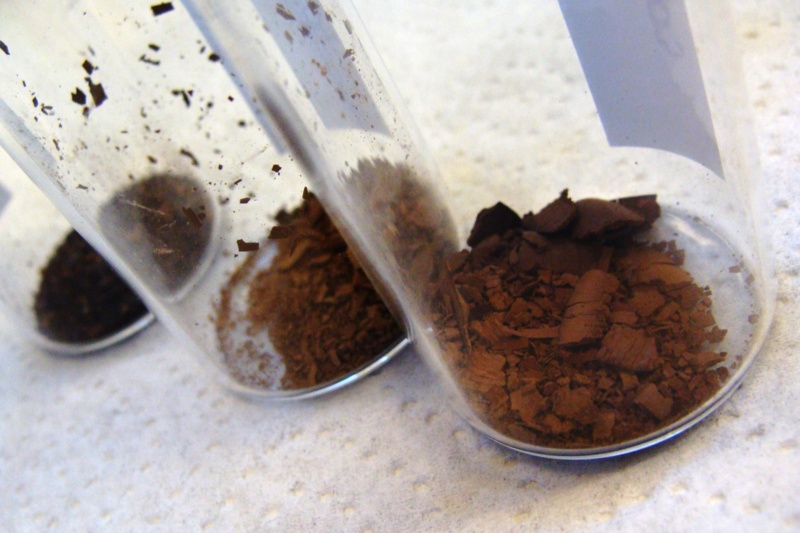 Team Pulp & Fiber Biorefinery