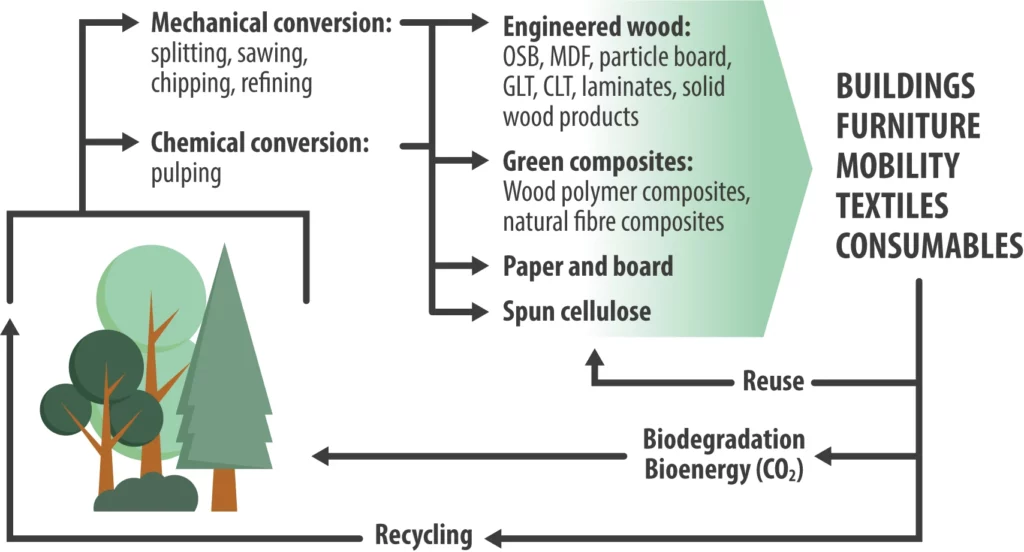 Kreislaufwirtschaft K1_Buildings_Furniture_Mobiliy_Textiles_Consumables_Wood K plus