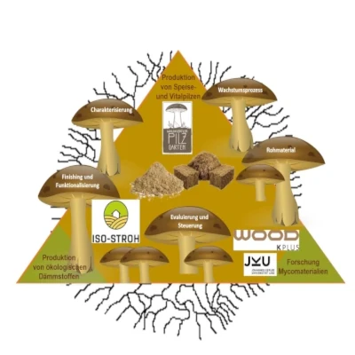 Myco-insulation_quad