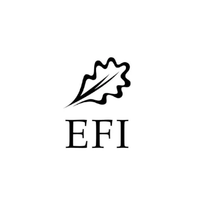 Logo_EFI_quad