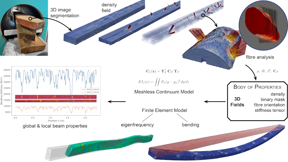 Digitale Modellierung im Timber-Track: Von der CT-Erfassung über die Extraktion von Ästen und Fasern bis zu den simulierten Steifigkeitsprofilen entlang des Holzbalkens (©Foto: Johannes Huber)