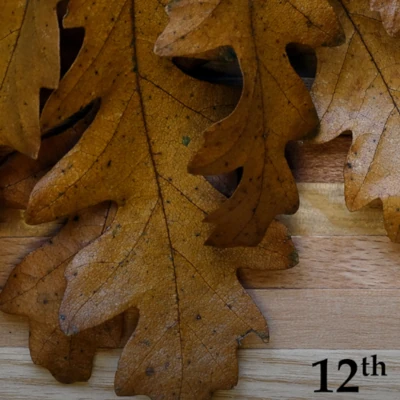 12. Hardwood Conference