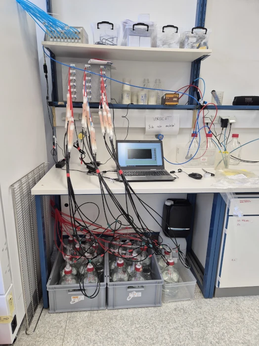 Bioabbausystem Aquatisch zur Untersuchung der biologischen Abbaubarkeit von Materialien mit kontinuierlicher CO2-Erfassung