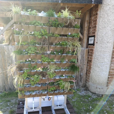 Green Wall Modular Design by Alchemia Nova and implemented planting using Wood K plus materials (©Photo by Alchemia Nova)