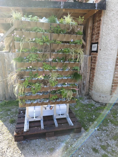 Green Wall Modular Design by Alchemia Nova and implemented planting using Wood K plus materials (©Photo by Alchemia Nova)