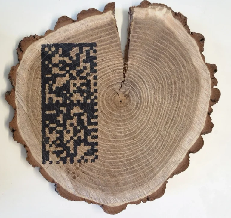 direct marking of wood with an ECC 200 2D matrix code printed