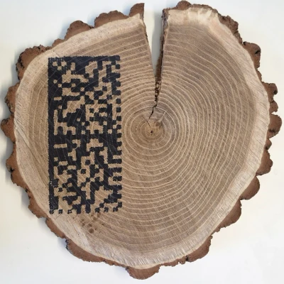 direct marking of wood with an ECC 200 2D matrix code printed
